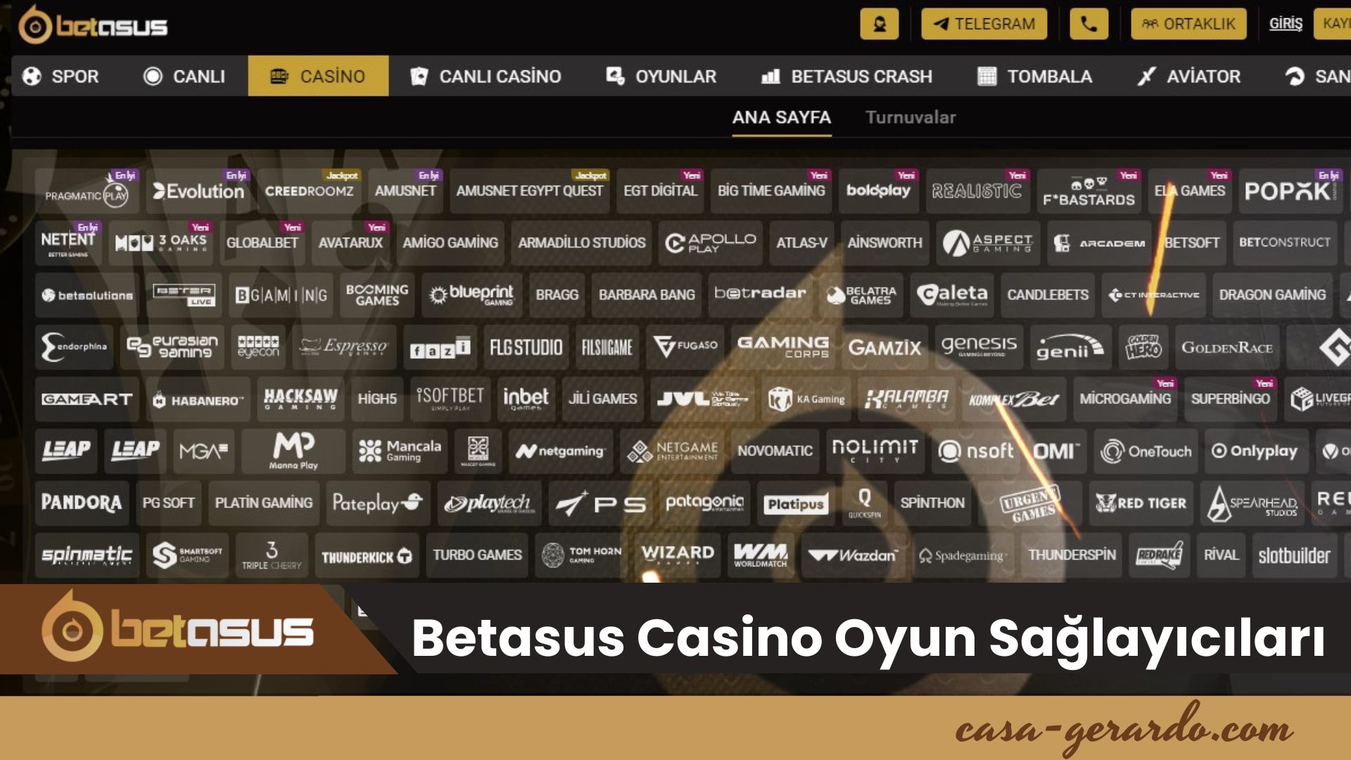 Betasus Casino Oyun Sağlayıcıları